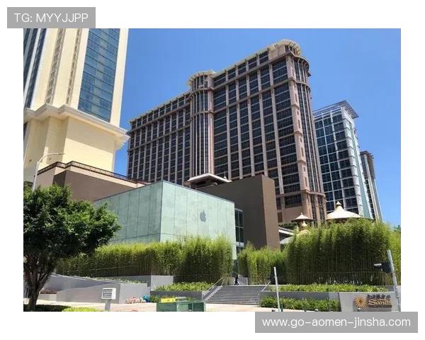 通过金沙澳门在线客服联系获取最新优惠活动和会员专属服务