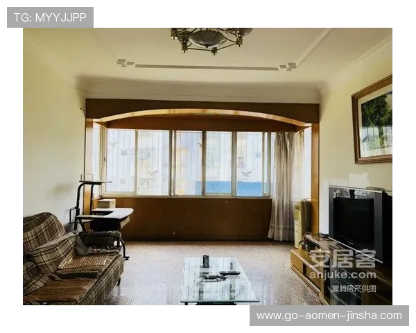 金沙650浏览器官网最新版本下载安装指南,全面提升您的浏览体验 金沙650浏览器官网最新版本下载安装指南,全面提升您的浏览体验