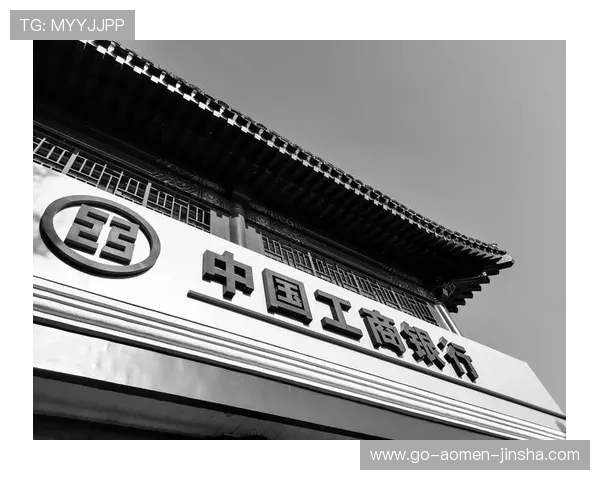 金沙中国年报全面解析2023年度财务表现与未来发展战略