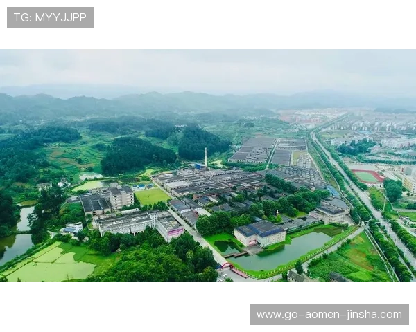 深入了解金沙中国集团的高端娱乐与休闲服务创新发展路径