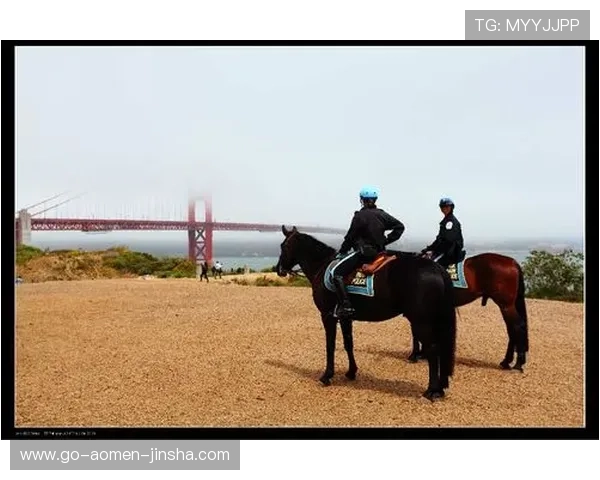 拉斯维加斯金沙公司估值在行业中的竞争优势与潜在风险 拉斯维加斯金沙公司估值在行业中的竞争优势与潜在风险