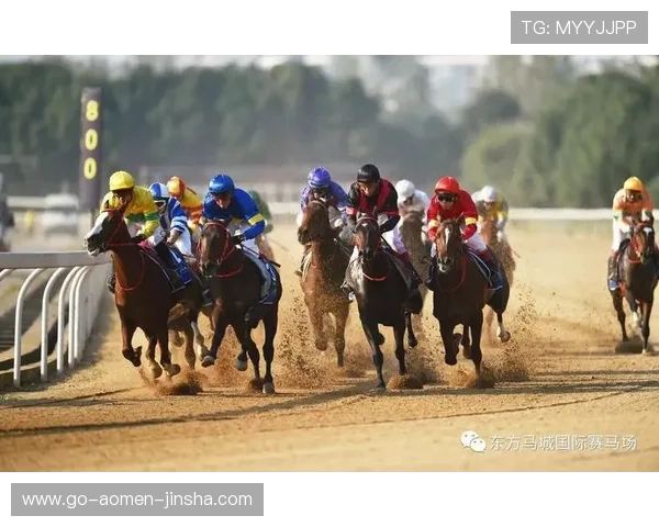 澳门赛马官网直播平台使用指南帮助新手用户轻松掌握在线观看赛马赛事的方法