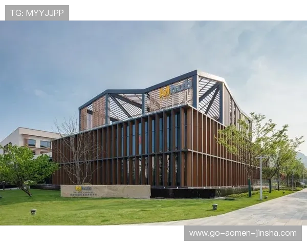 美高梅集团官方网址入口大全，详细介绍各地区登录方式与常见问题解决方案